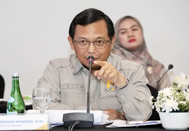 BAKN DPR Soroti Lonjakan NPL KUR dan Lambatnya Penyaluran di BSI
